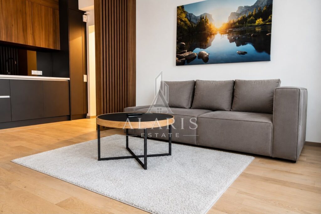 Apartament cu 2 camere, open space, zona Take Ionescu