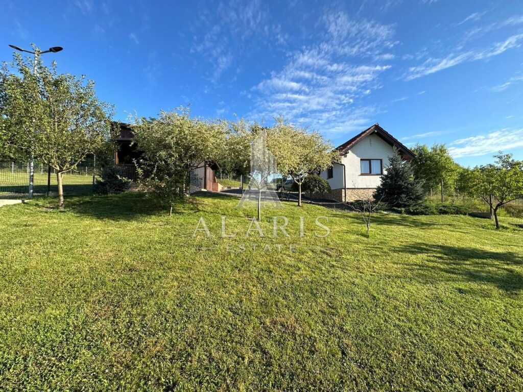 Domeniu privat, cu padure, cabana si teren de tenis, in Nadas, fotografia 4