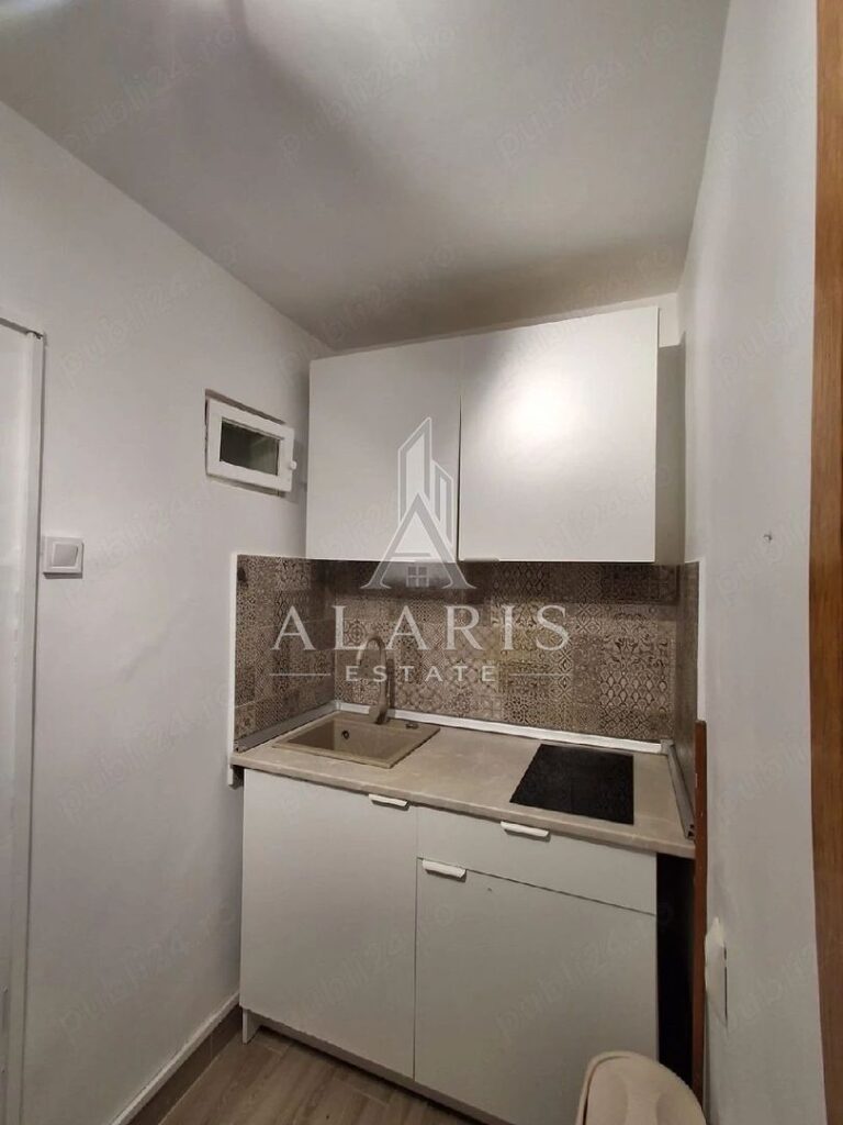 Apartament cu o cameră, zona Medicina, Take Ionescu, fotografia 3