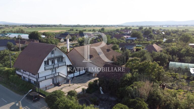 Casă cu Hală Industrială | Teren 3.200 mp | Ineu | Bihor