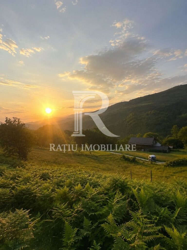 Teren 10.900mp | Panoramă în Apuseni | Remeți -Ideal pentru Investitii