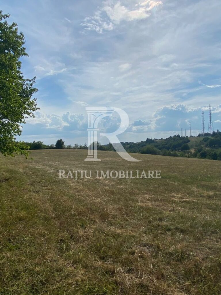Teren Intravilan | 17.500 mp | Șinteu | Bihor