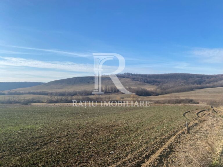 Teren extravilan de vanzare 3.900mp | Mierlau | Bihor