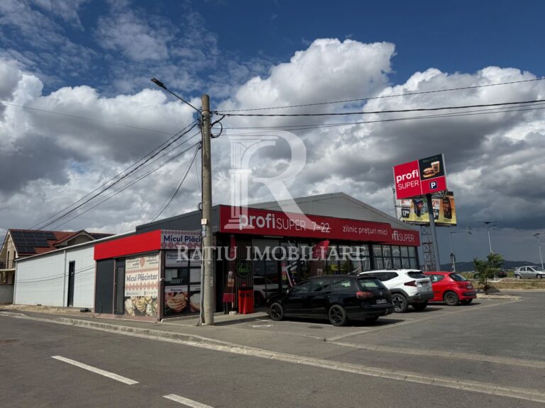 Retail Investment Asset | Profi Tenant | Sânmartin – Oradea