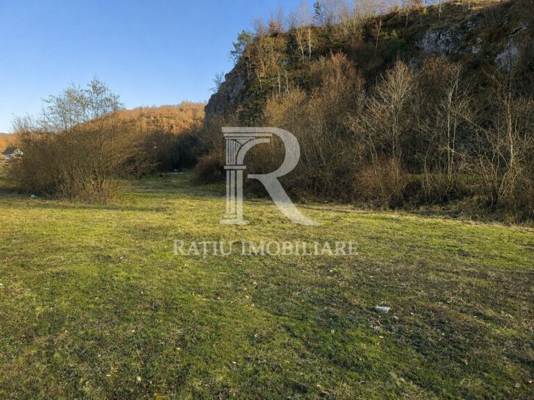 Teren intravilan | Loc de cabana | Balnaca | Bihor