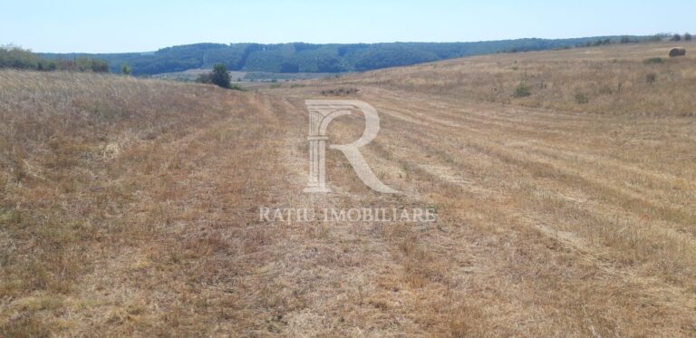 Teren extravilan | Betfia | 7935 Mp | Bihor
