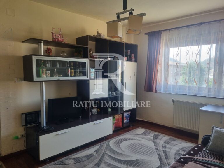 Apartament cu 2 camere de vanzare | Zona Gojdu | Deva | Hunedoara