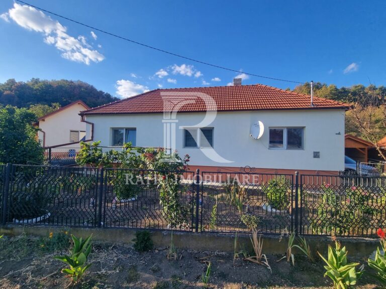 Casă renovata cu teren generos | Anexe | Gurasada | Hunedoara