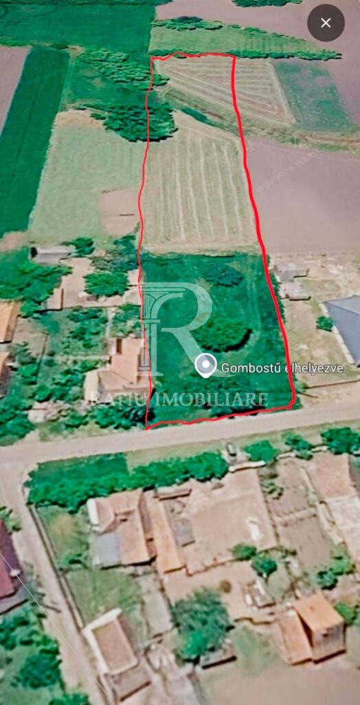 Teren intravilan 6.514mp | 39m front stradal | Ciocaia, Săcuieni