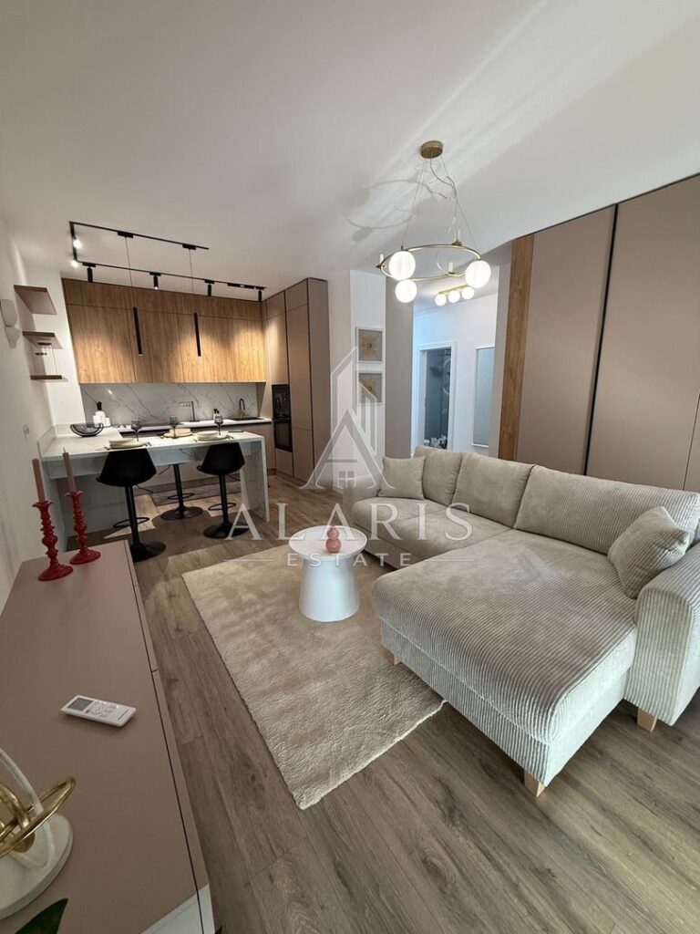 Apartament cu 2 camere, open space, zona Torontalului