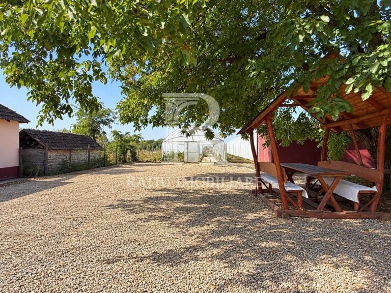 Teren intravilan agricol | 7029 mp | Satu Nou | Bihor
