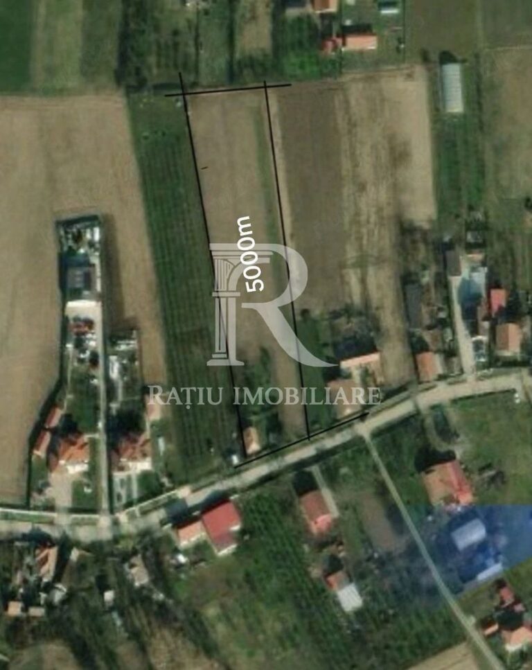 Teren intravilan 5.000 mp de vânzare | Leș