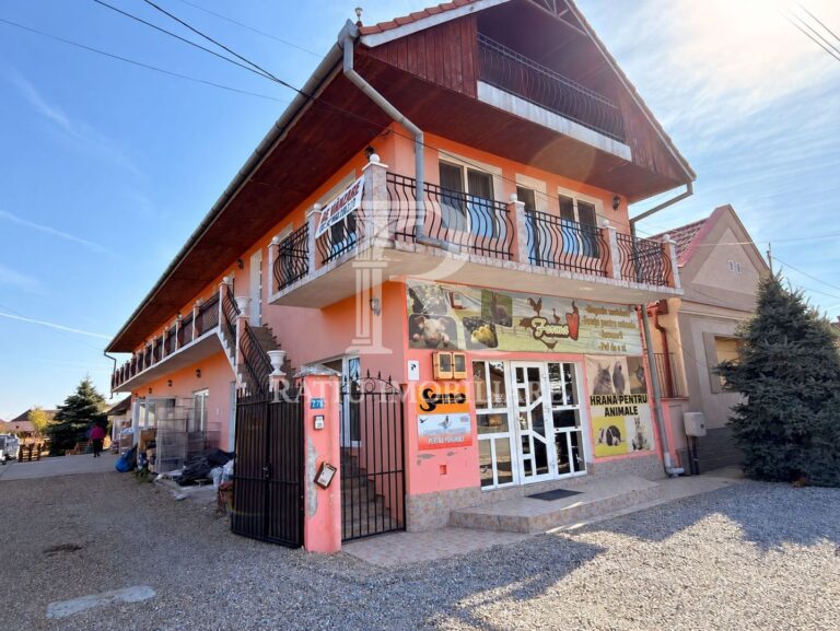 Casă cu spațiu comercial | Curte | Garaj | Parcare | Nojorid