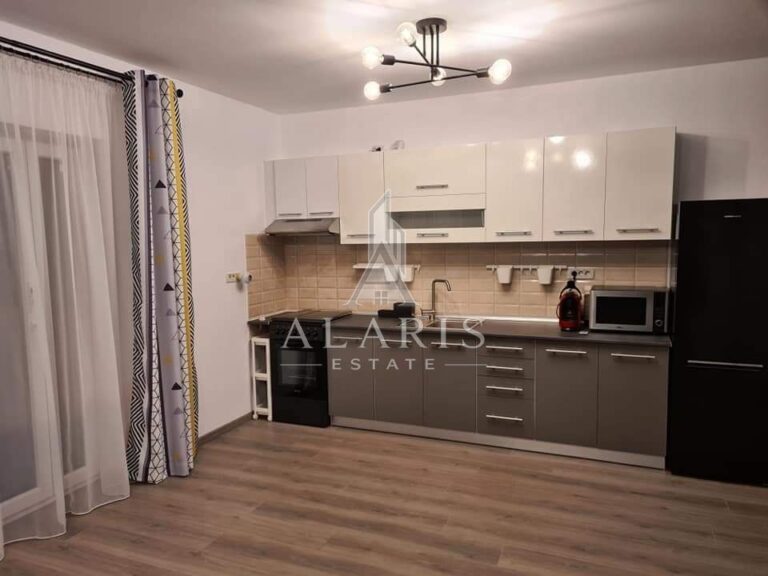 Duplex cu 3 camere, curte, Mosnita Noua
