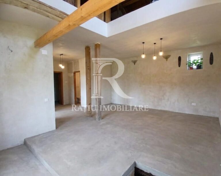 Casa 3 Camere + Anexe de Vanzare | 125 + 73 mp | Santaul Mare | Bihor – poza 3 din 8