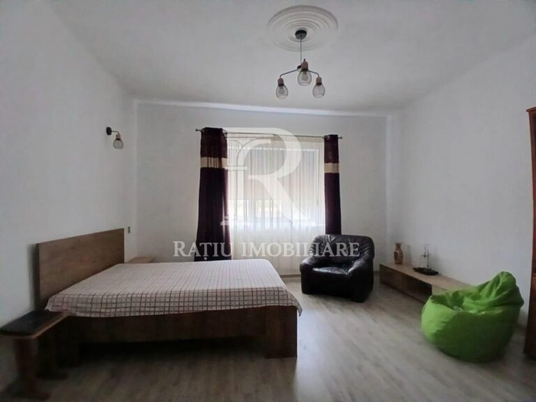 Casa 3 Camere + Anexe de Vanzare | 125 + 73 mp | Santaul Mare | Bihor – poza 6 din 8