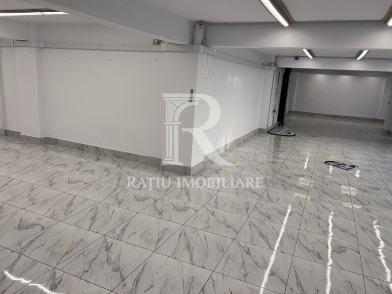 Spatiu comercial de inchiriat | 210 mp | Nufarul | Oradea – poza 2 din 7