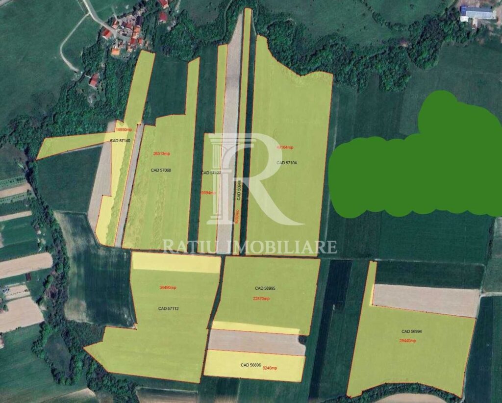 Teren agricol 19,87ha | Acces la drum public | Tileagd | Bihor – Calatani – poza 1 din 4