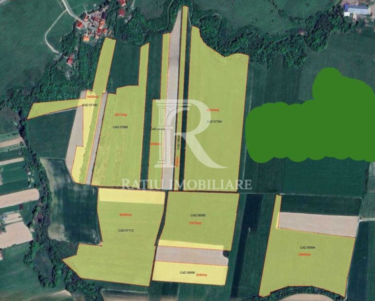 Teren agricol 19,87ha | Acces la drum public | Tileagd | Bihor
