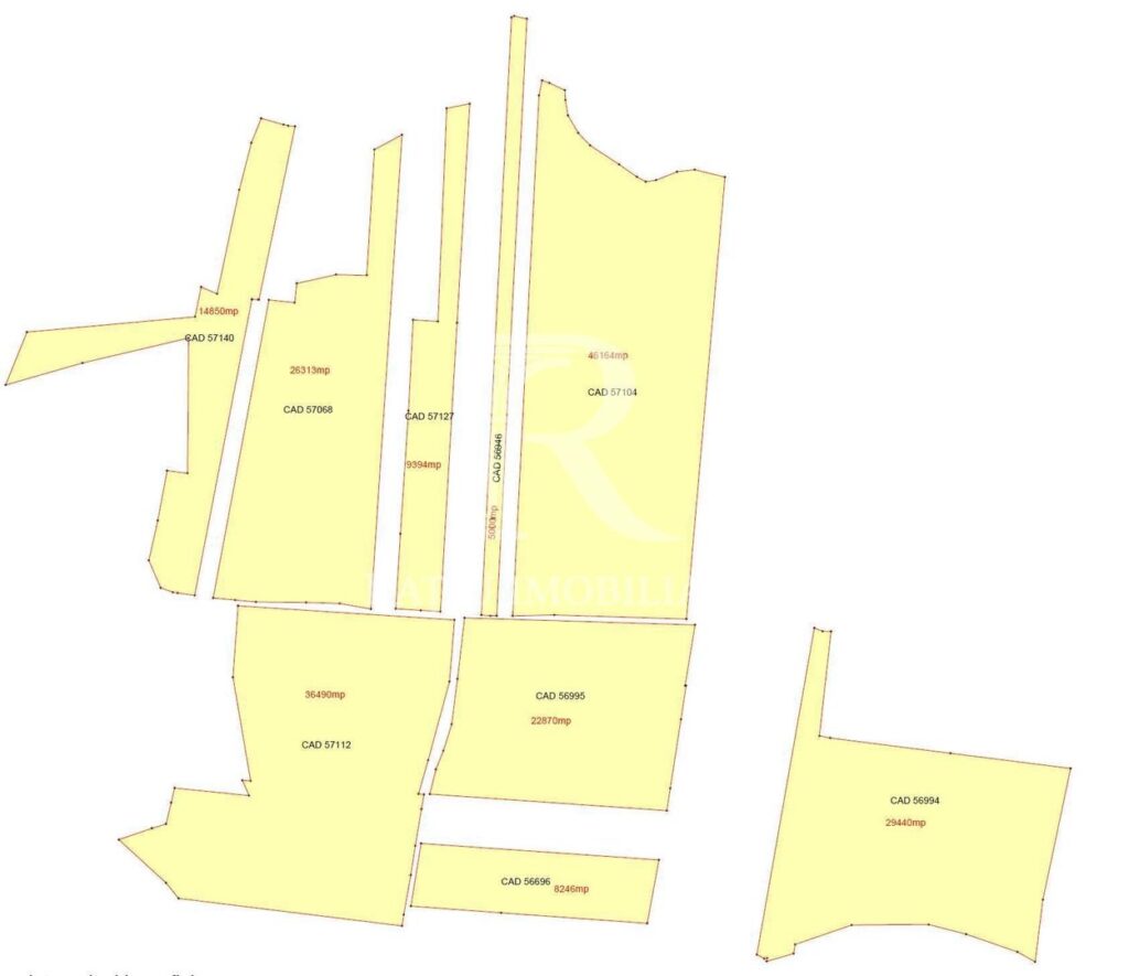 Teren agricol 19,87ha | Acces la drum public | Tileagd | Bihor – Calatani – poza 2 din 4