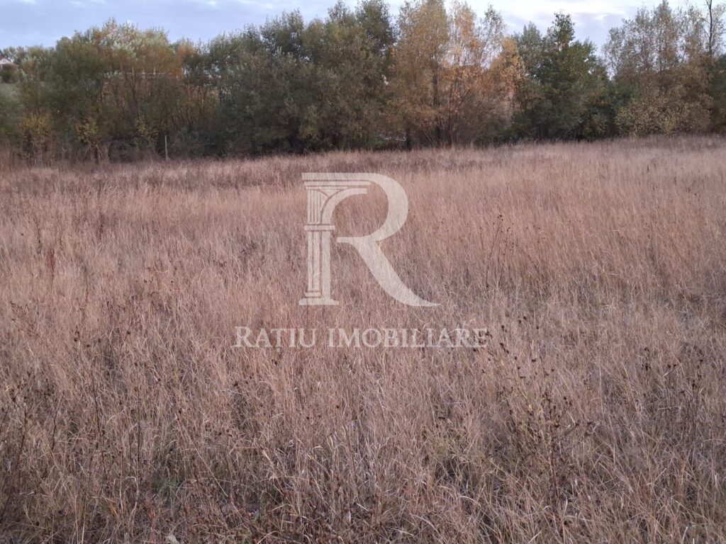 Teren extravilan | 3400 mp | Hidiselul de Sus | Oradea | Bihor – Hidiselu de Sus – poza 2 din 5