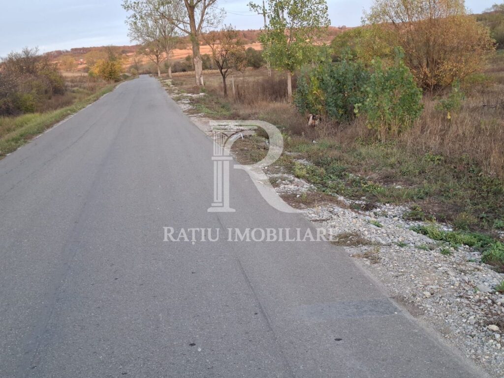 Teren extravilan | 3400 mp | Hidiselul de Sus | Oradea | Bihor – Hidiselu de Sus – poza 3 din 5