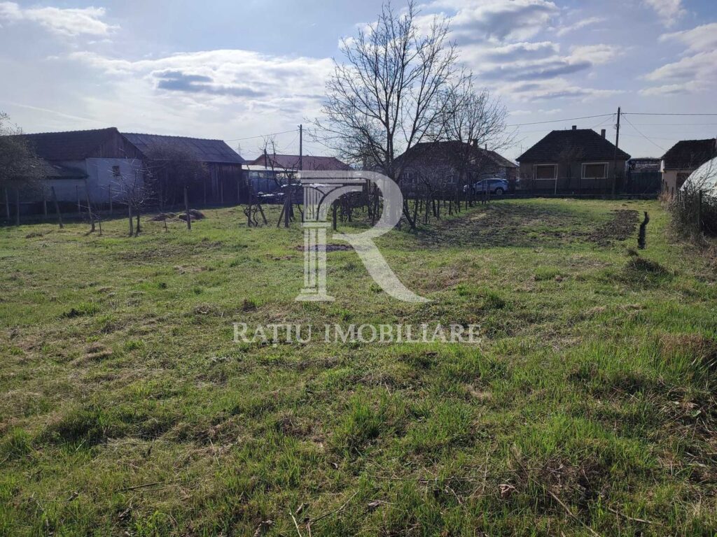 Teren Intravilan | 705 mp | Uileacul de Cris – Uileacu de Criș – poza 1 din 5