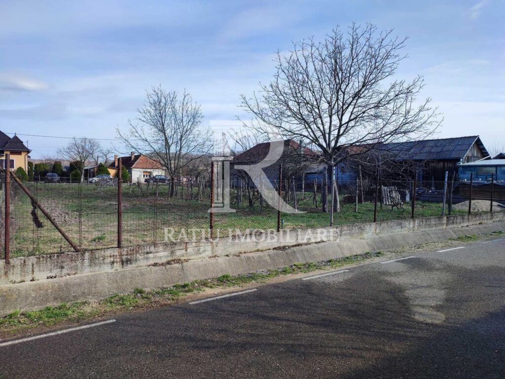 Teren Intravilan | 705 mp | Uileacul de Cris – Uileacu de Criș – poza 3 din 5