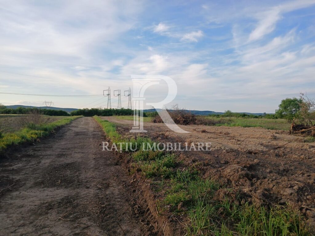 Terenuri intravilane | 500–569 m² | Fughiu | Oșorhei – poza 2 din 8