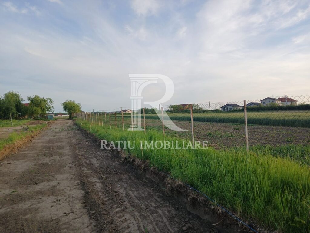 Terenuri intravilane | 500–569 m² | Fughiu | Oșorhei – poza 3 din 8
