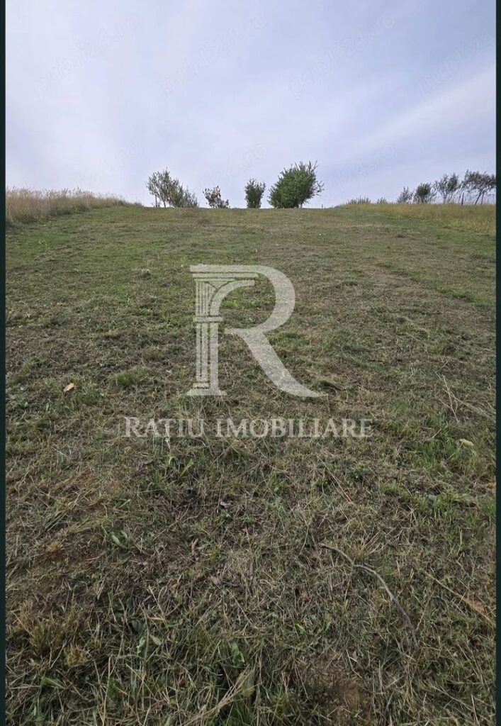 De vanzare | Teren intravilan 1500 mp | Cordau | Cu livada – poza 3 din 7