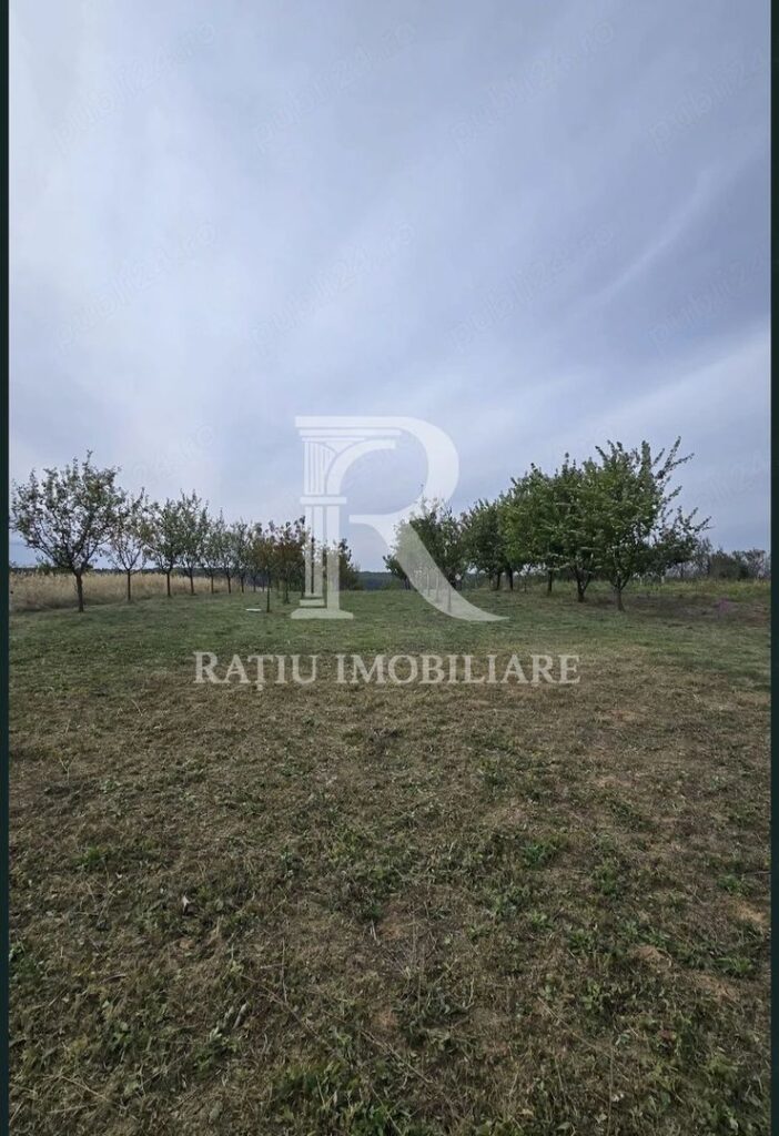 De vanzare | Teren intravilan 1500 mp | Cordau | Cu livada – poza 5 din 7
