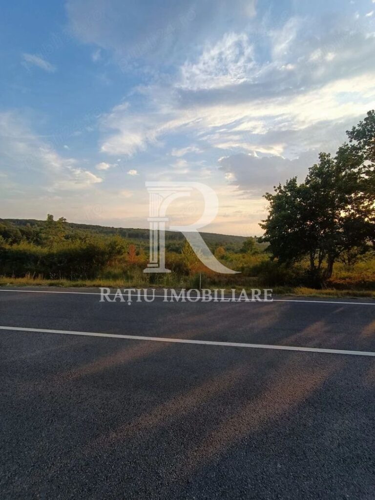 Teren de vanzare | Hidiselul de Sus | Bihor – Hidiselu de Sus – poza 2 din 6
