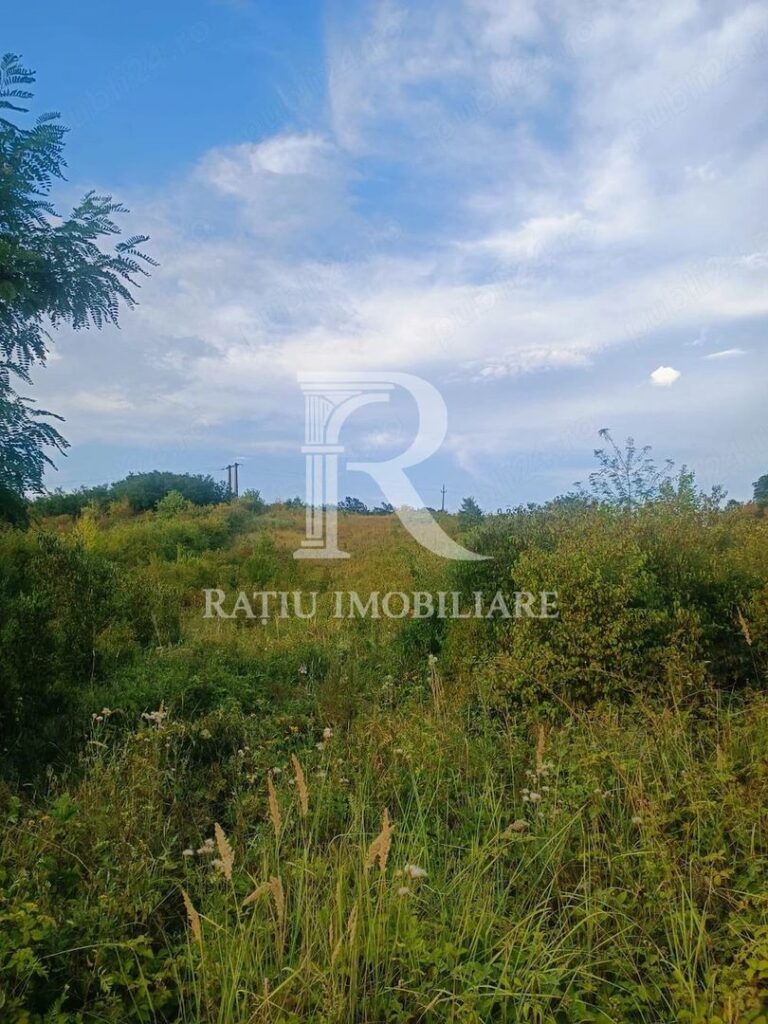 Teren de vanzare | Hidiselul de Sus | Bihor – Hidiselu de Sus – poza 4 din 6