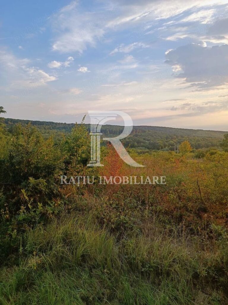 Teren de vanzare | Hidiselul de Sus | Bihor – Hidiselu de Sus – poza 5 din 6