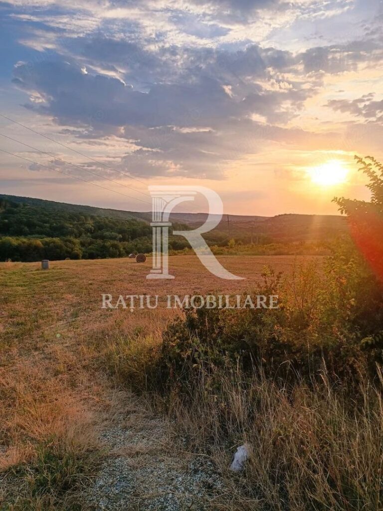 Teren de vanzare | Hidiselul de Sus | Bihor – Hidiselu de Sus – poza 6 din 6