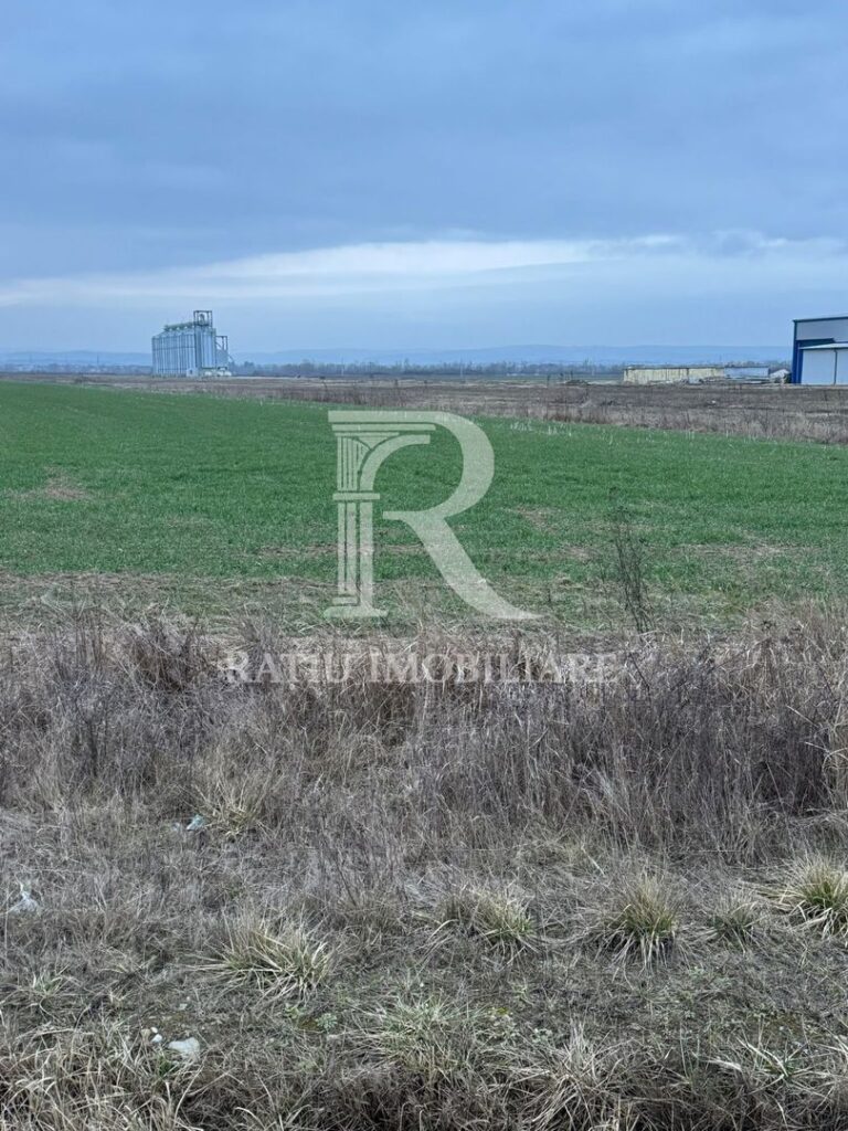 Teren de inchiriat | 20,088 ha | Sacadat | Bihor – poza 2 din 5