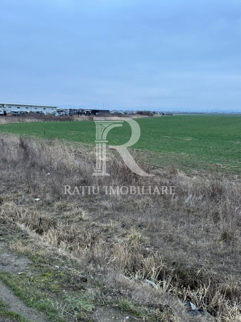 Teren de inchiriat | 20,088 ha | Sacadat | Bihor – poza 3 din 5