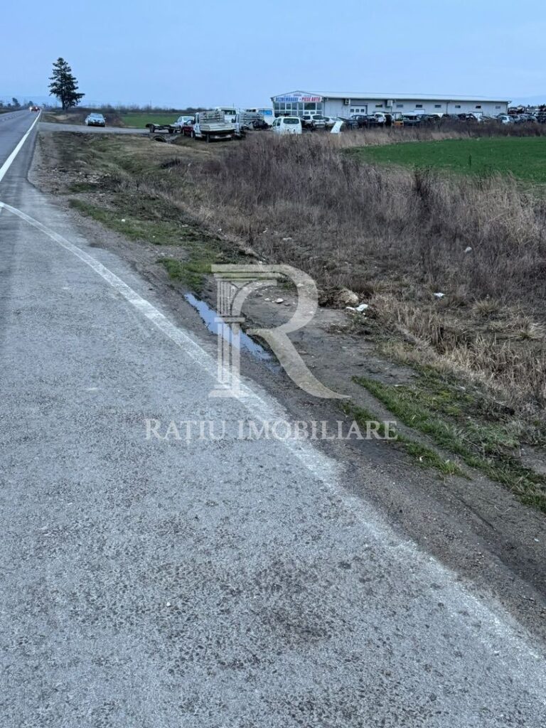 Teren de inchiriat | 20,088 ha | Sacadat | Bihor – poza 4 din 5
