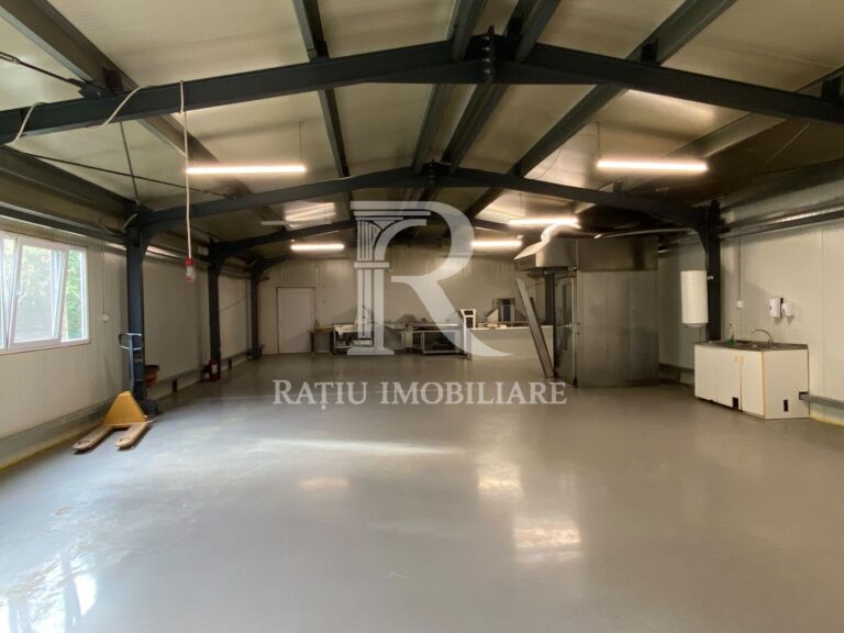 Spatiu industrial | 250 mp | Sanmartin | Oradea – poza 1 din 8