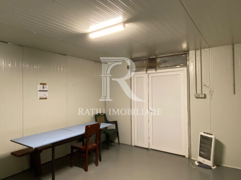 Spatiu industrial | 250 mp | Sanmartin | Oradea – poza 6 din 8