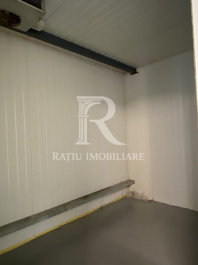 Spatiu industrial | 250 mp | Sanmartin | Oradea – poza 7 din 8